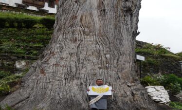 WhatsApp Image 2024-09-27 at 10.14.00 AM