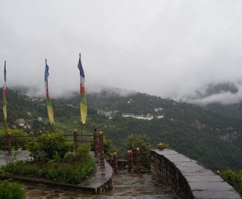 WhatsApp Image 2024-09-27 at 4.10.29 PM