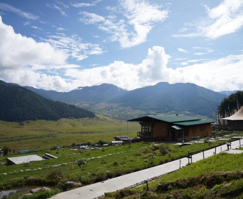 WhatsApp Image 2024-09-29 at 1.00.13 AM (1)