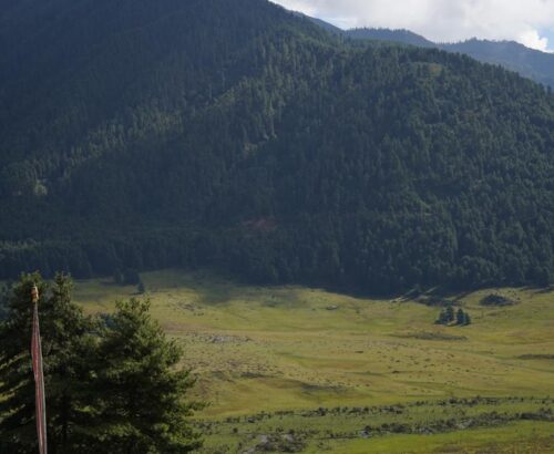 WhatsApp Image 2024-09-29 at 1.00.17 AM