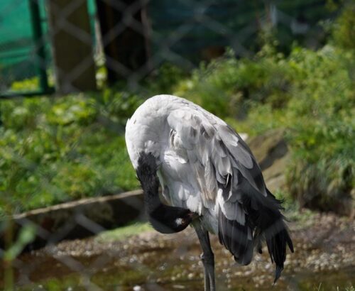 WhatsApp Image 2024-09-29 at 1.00.18 AM