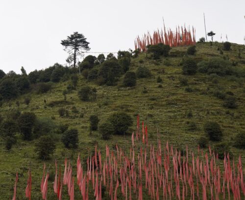 WhatsApp Image 2024-09-30 at 9.14.11 PM