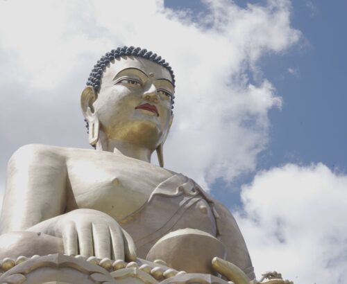 WhatsApp Image 2024-10-02 at 1.29.52 PM